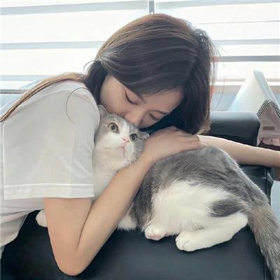 弗雷达